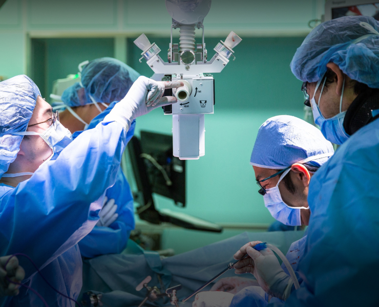 A clean surgeon can operate the handle and the camera buttons