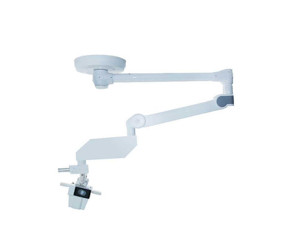 Ceiling-mounted type