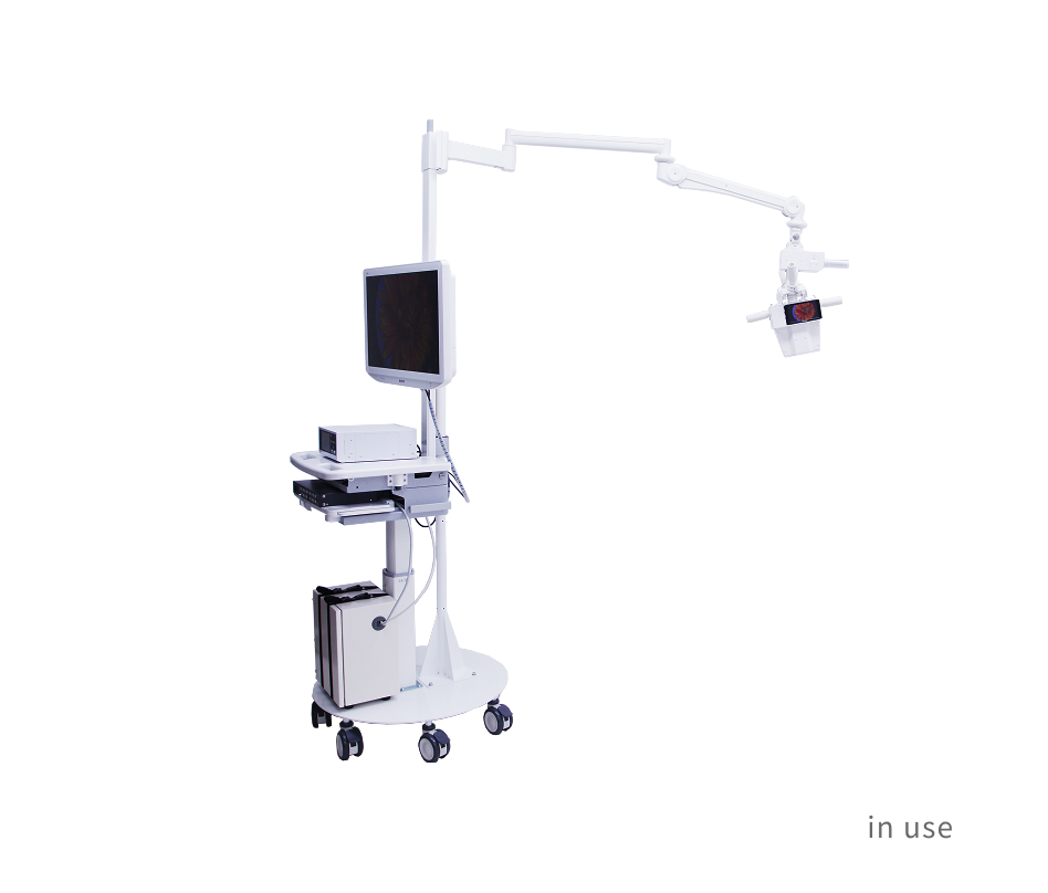Mobile stand type