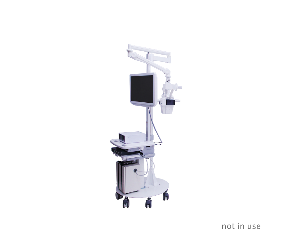 Mobile stand type